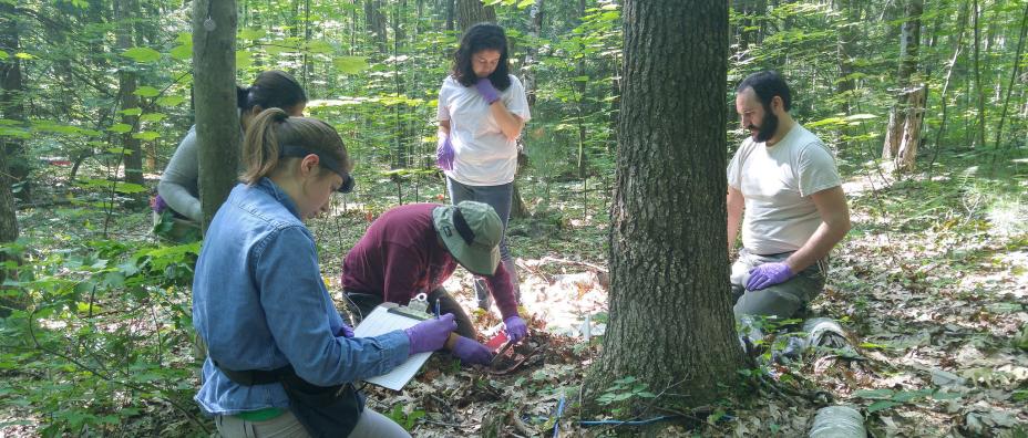 Blanchard Lab